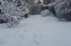 Lütt Verbliev - Foto 50