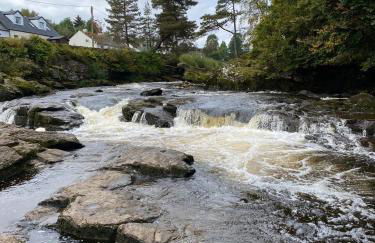 Gulls Island - Foto 7