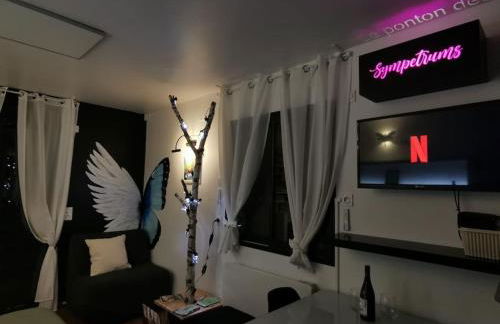 Le Ponton des Sympetrums - Foto 12