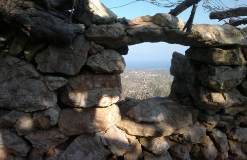 Agroturisme Es Picot - Foto 110