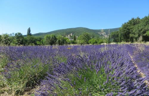 Le Mas des Restanques - Foto 44