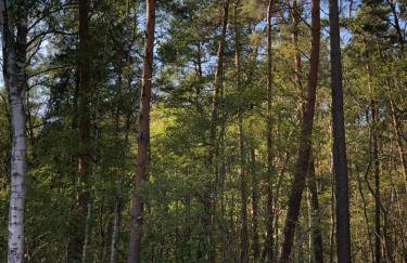 Lawendowe Domki 70m - Foto 17