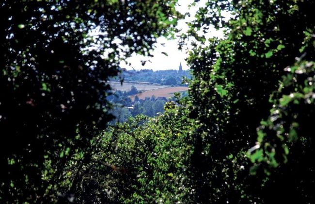 Villa in Arcen With Private Sauna Access - Photo 32