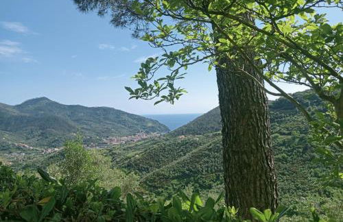 CASA L'UNICORNO con giardino privato - Foto 20