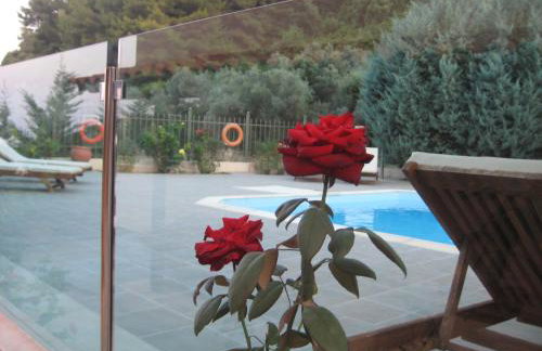 Achladi Beach - Photo 54