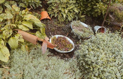 FERIENPARADIES AM KAMMERBERG - ein ganzes Haus für Sie alleine!!! - Foto 39