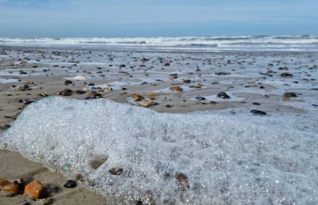 6 Person Holiday Home in Brovst-by Traum - Foto 32