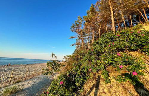 Apartament VIP Sztutolo z basenem - Foto 54