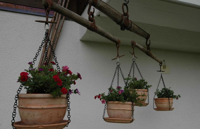 Chalet in Lenk Near Simmen Falls - Foto 16