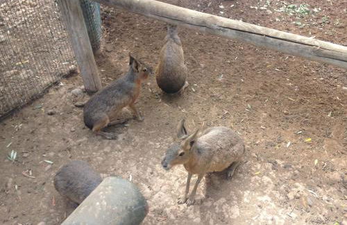 Apartamento Turistico Cigüeña de Arguedas - Foto 38