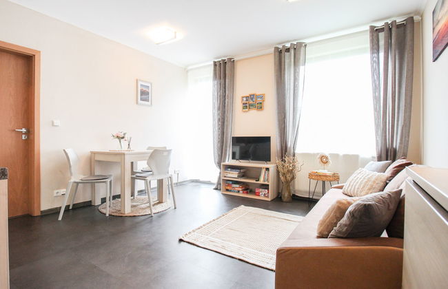 Resident Harrachov B - Foto 8