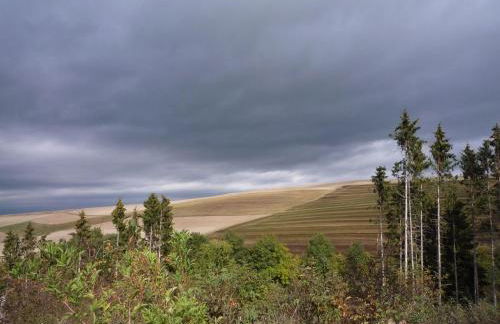 Holiday Home Moselle With Private Sauna - Foto 36