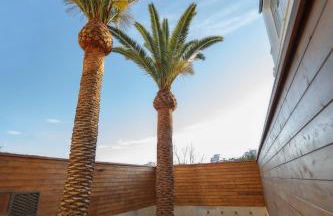 Cáceres Deluxe - Foto 18