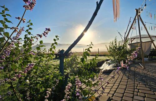 Lawendowy Raj - Foto 7