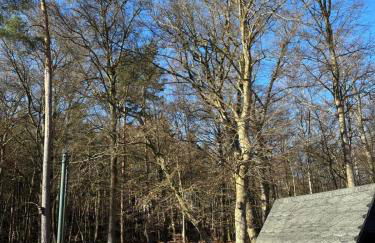 Ferienhaus am Küstenwald - Foto 23