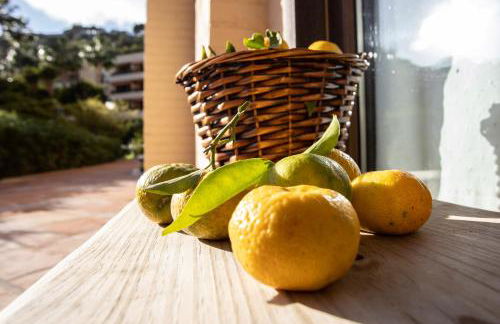 Apartamento en primera línea de playa con piscina - Photo 13