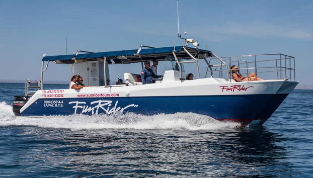 Balandra Beach Day Trip & Swimming with Sea Lions - Foto 4