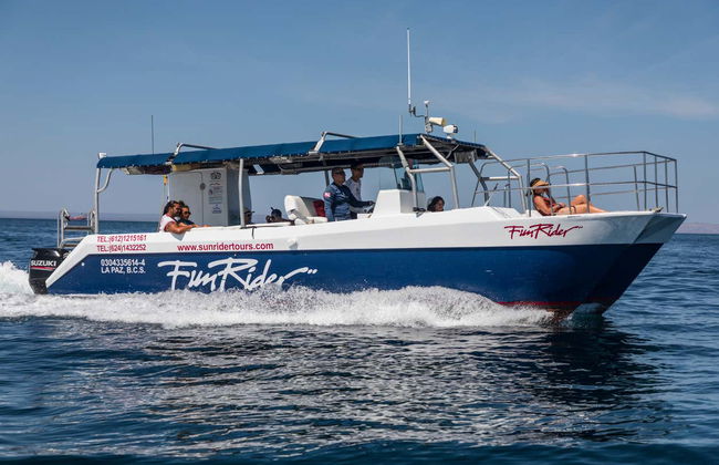 Balandra Beach Day Trip & Swimming with Sea Lions - Photo 4