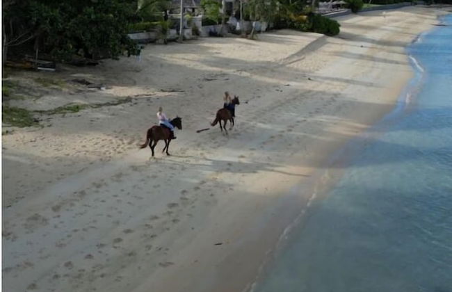 Samui Parkville Lipa Noi Villas - Foto 38