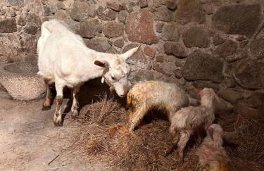 Historic Farmhouse Casa Del Chiodo - Foto 43