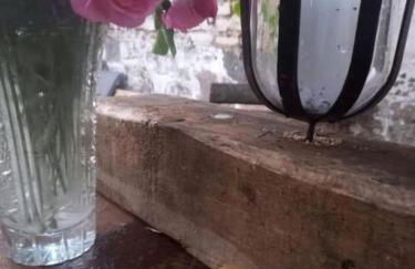 Ferienwohnung in der Uckermark - Photo 25