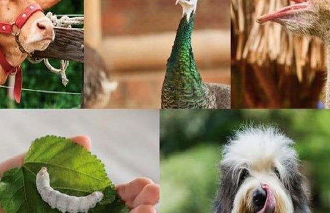 Panaca Park with Private Transportation - Foto 6