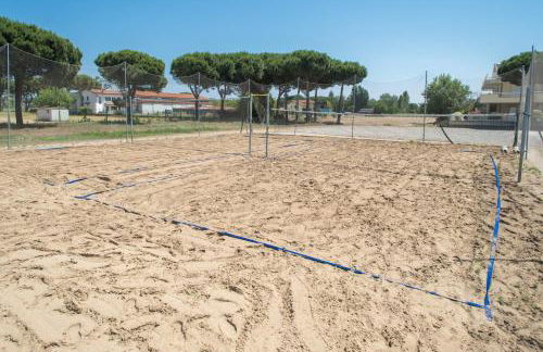 Fiori di Cardo - Agrimare - Foto 57