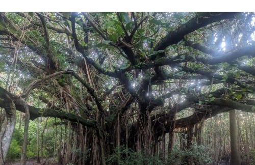 Oceana Blue / Beach Front / Pool / Bar / Relax - Foto 69