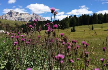 Apartments Chalet Ciufdlton - Foto 5