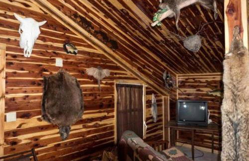 Farmhouse Cabin Getaway near Ozark Forest in Arkansas - Foto 18