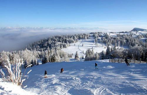 Lac Saint-Point au balcon - Foto 14