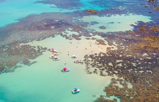 Excursion à Maragogi - Photo 1