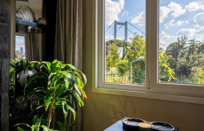 Bosphorus View Duplex w Terrace in Ortakoy - Foto 2