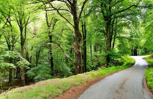 Finest Retreats - Hermon Bach - Foto 27