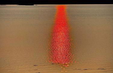 Mark's Waterfront Sea Cottage beach family Acadia - Foto 30