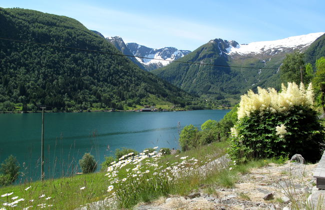 Pærehagen - Foto 28