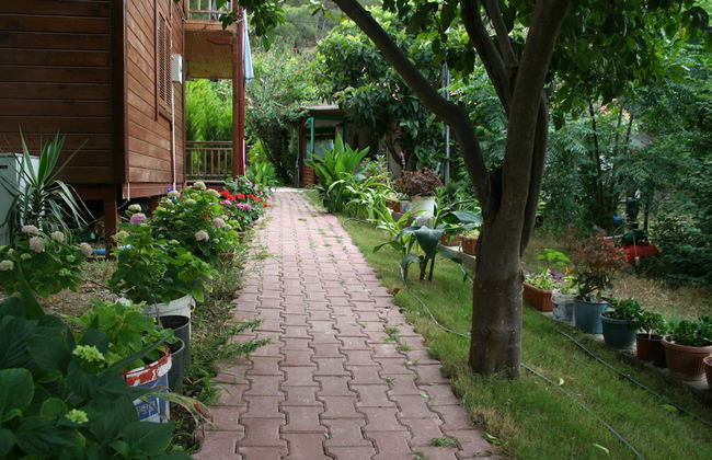 Naz Apart Cirali - Photo 20