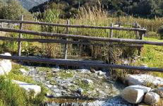 Sweet Home Sofia - Photo 31