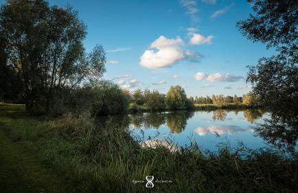 La Grande Pommeraie - Foto 45