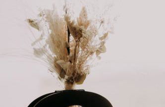 Agriturismo Opera 02 - Photo 35