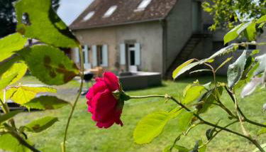 Gite de Fleur - Chateau du Grand Luçay - Foto 4