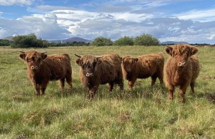 South Black Hill - Foto 28