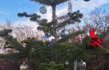 Drvena bajka - Photo 40