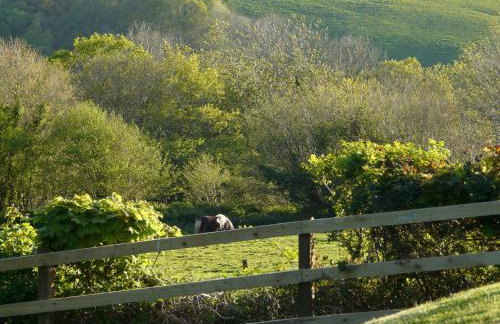 Pencubitt House - Photo 42