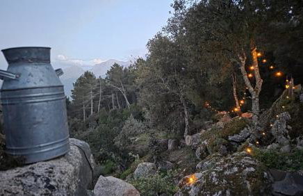 Rifugio Ortobene - Photo 16