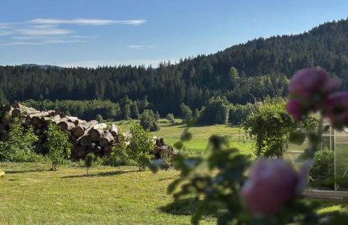 Im Zellertal - Foto 35