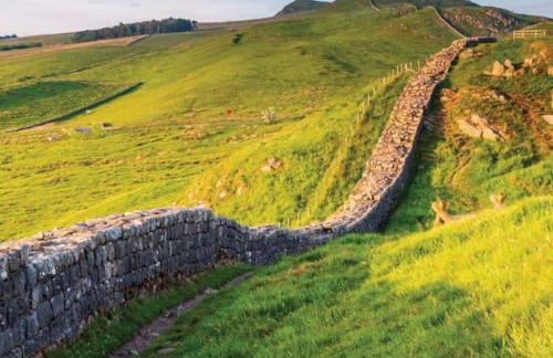 North Farm - Foto 24