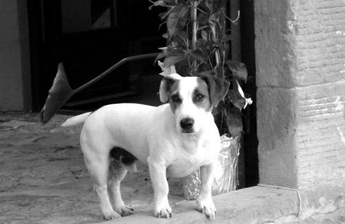 Villa Rignana - The Tuscan Collection - Foto 62