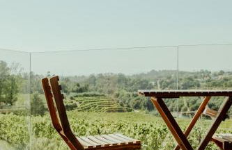 Quinta das Areias - Solar da Pena - Foto 12