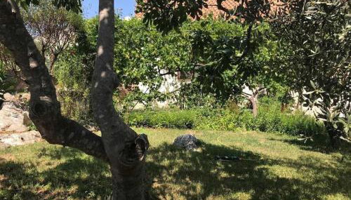 Sea View Apartment Ruza, Sleeps 4 - Foto 4, Garden